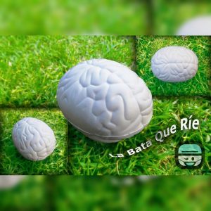 Cerebro Antiestrés